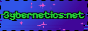 Cache of Curiosities