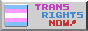 Trans right now!